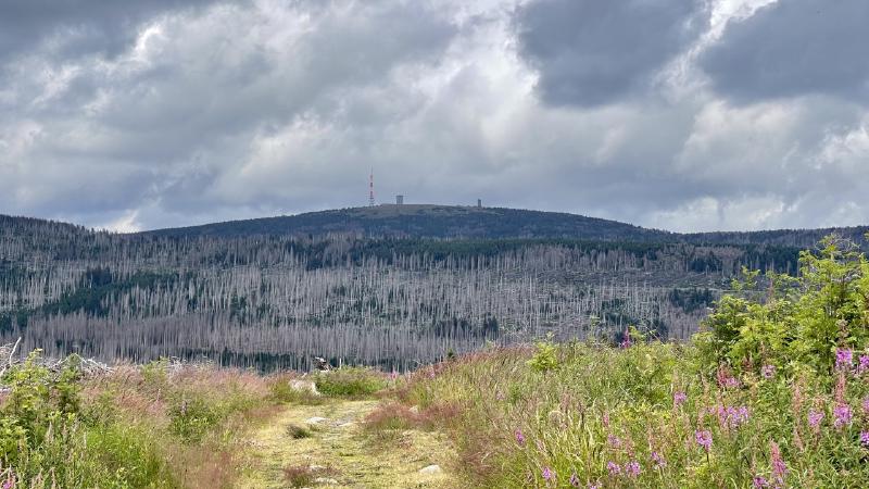 Vista del Brocken en el ascenso al Wurmberg