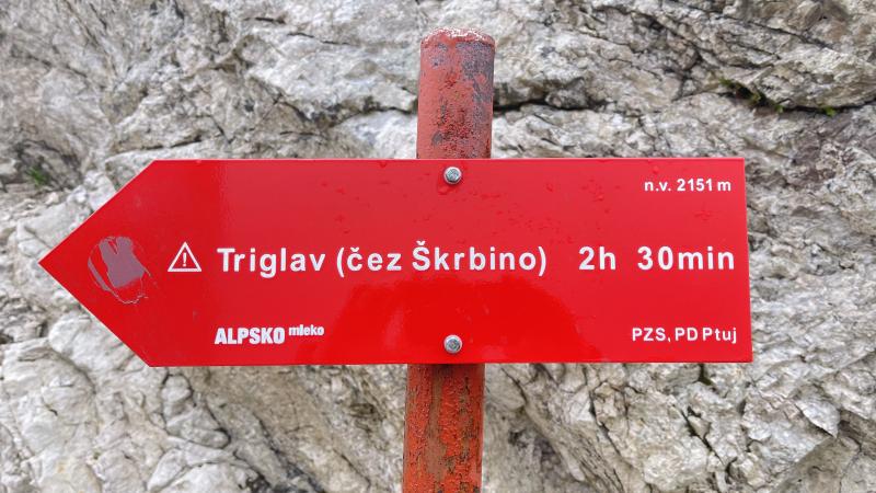 Zirka 2.5 Stunden Aufstieg bis zum Gipfel
